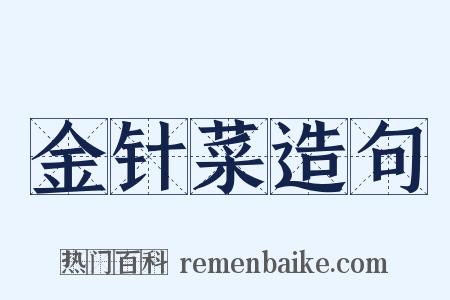 金针菜造句是什么意思的图片